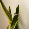 Bague, bijou en acier inoxydable 316L brillant orné d'émail