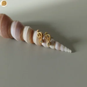 Boucles d'oreilles acier inoxydable doré note de musique et oxyde de zirconium.